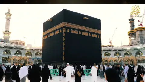 #creatorsearchinsights #trendingvideo #viralvideo 