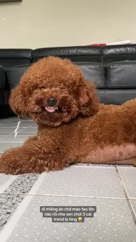 dì miếng cơm manh áo chớ tui nóng bà dà lắm gòi nha 🤣🤣🤣#muốithíchbơi #xuhuongtiktok #trend 