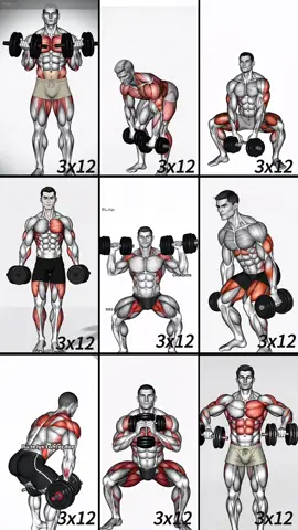 Du hast hart gearbeitet 💼 Jetzt ist es Zeit für dich 💪 Nur 1 Stunde Training pro Abend ⏱ Schweiß raus – Stärke rein 🔥 Diese 9Übungen machen dich stärker, Tag für Tag! 🏋‍♂   #Fitness #gym #exercise #workout #workoutroutine