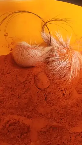 #asli #bygidersinghi #foryou #like #ppppppppppppppppppppppp #tarndingvideo 