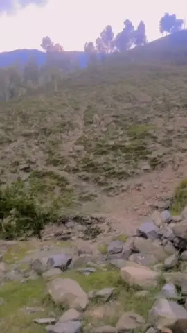 please for you video 📸📷📷📸📷