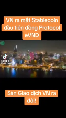 ❤️  Việt Nam ra mắt tiền điện tử evnd #crypto #Pi #WFI #WeCapital #trade
