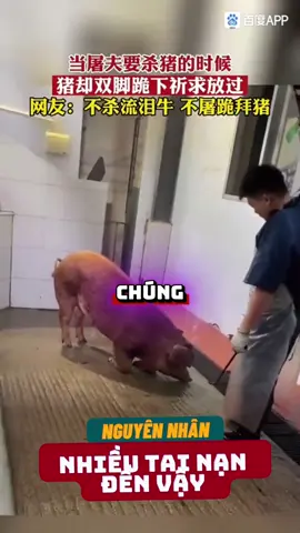 NAM MÔ A DI ĐÀ PHẬT.  📌 MUỐN THAY ĐỔI THẾ GIỚI ĐƯỢC BÌNH AN , KHÔNG CÒN TAI NẠN NHẤT ĐỊNH SỬA TỪ THÂN NGỮ Ý MÀ LÀM ( ÂN SƯ HOÀ THƯỢNG TỊNH KHÔNG)#phápmôntịnhđộ #phậtphapnhiemmau #niemphat #phatphapnhiemmau @☸ TỊNH ĐỘ DI ĐÀ ☸️ @A Di Đà Phật @Cư Sỹ Phước Tịnh @dieuamhoangdien @diệu âm 