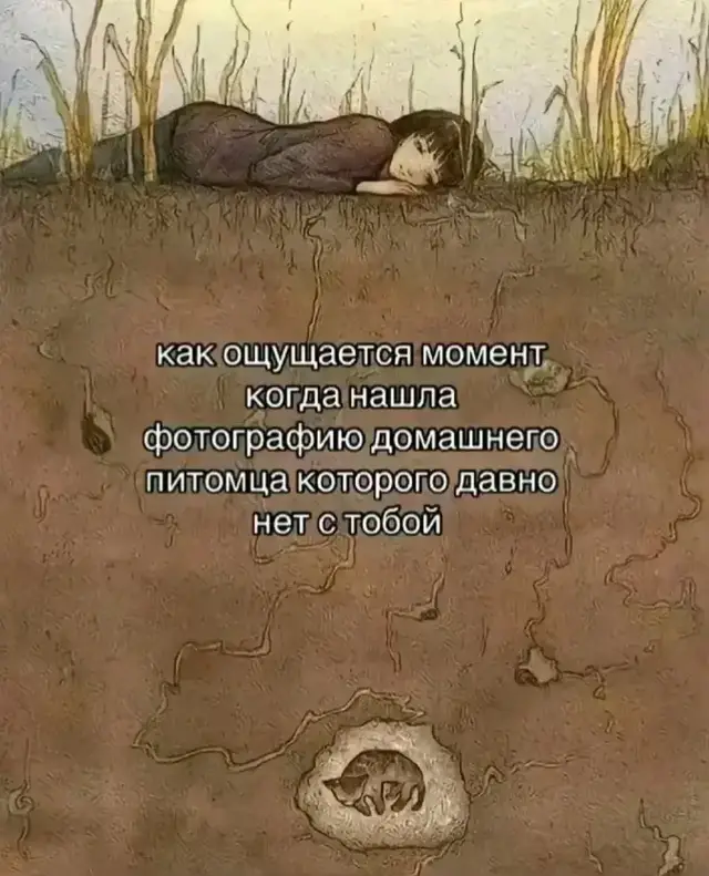 #попугай #животное #любимый #этовсечтоостанетсяпослеменя #скучаю #люблю 