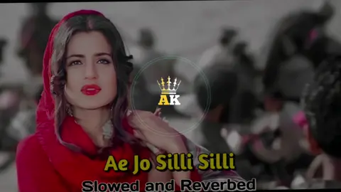 Eh Jo Silli Silli ✨🔥👑  Wear Headphones For Better Experience 😉  #slowandreverb #trendingvideo #song #fyp #teamwork #bassboosted 