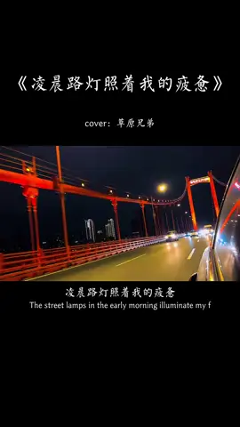 #凌晨路灯照着我的疲惫 #草原兄弟  #✿Queenmini✿ 