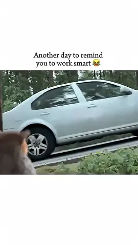 #viral?videotiktok😇😇1mellean 