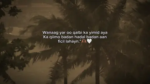#fypviralシ #fyシviral #maahiz #foryou #foryoupage #viewsproblem😭 