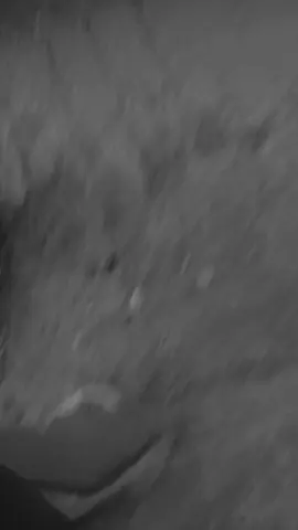 𝘑𝘪𝘬𝘢 𝘉𝘶𝘬𝘢𝘯 𝘈𝘬𝘶 𝘠𝘢𝘯𝘨 𝘌𝘯𝘨𝘬𝘢𝘶 𝘏𝘢𝘳𝘢𝘱𝘬𝘢𝘯,𝘔𝘢𝘬𝘢 𝘒𝘢𝘵𝘢𝘬𝘢𝘯𝘭𝘢𝘩,𝘉𝘪𝘢𝘳 𝘈𝘬𝘶 𝘮𝘦𝘭𝘢𝘯𝘨𝘬𝘢𝘩 𝘔𝘦𝘯𝘫𝘢𝘶𝘩 𝘋𝘢𝘳𝘪 𝘒𝘦𝘩𝘪𝘥𝘶𝘱𝘢𝘯𝘮𝘶.💤#fyp #foryoupage #Followme 