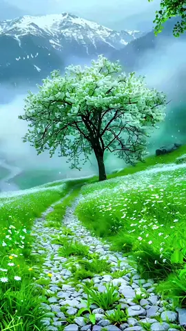 #beautiful #nature #Love #fyp #foryoupage 