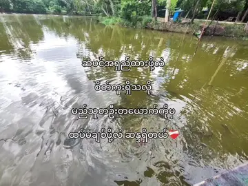 မည်သူတဦးတယောက်ကိုမှ ထပ်မချစ်ဖို့လဲ ဆန္ဒရှိတယ်❤️‍🩹#crdစာသား #foryou #foryoupage #fyppppppppppppppppppppppp #viraltiktok #lyrics 