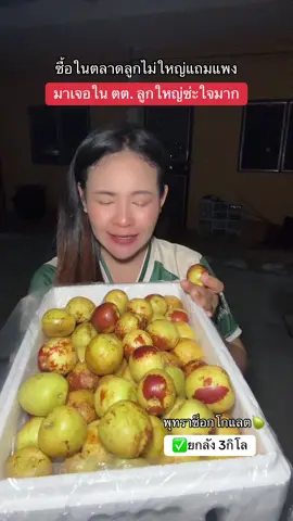 พุทราช็อกโกแลต🍐ลูกใหญ่ หวาน กรอบ อร่อยมาก (ยกลัง3กิโล) #พุทรา #พุทราช็อคโกแลต #พุทราช็อกโกแลต #พุทราช็อคโกแลต✨🍐 #พุทราช็อกโกแลต⚡ #พุทราช็อคโกแลต✨🍐กรอบหวาน #ผลไม้นําเข้า #Tiktokป้ายยา #tiktokผลไม้ 
