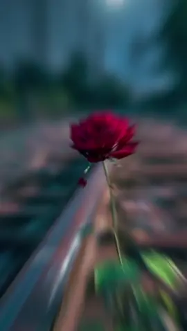 Un Nenappu ❤️❤️❤️ ....                             🗣️Uyir Uruvaatha👌💘✨.                                                                                                     #unnennappu #Love #song #tamilsong #tiktok #videoviral #trending #fypシ #fypシ゚viral #foryou #foryoupage #fyppppppppppppppppppppppp #Love #duet #viral #fy ##CapCut 