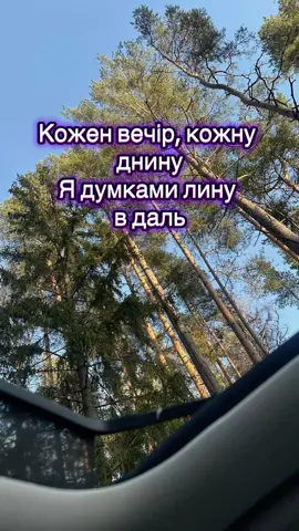 ✅В наявності ФЛЕШКИ з Українською музикою🩵💛 Посилання на ТГ канал в шапці профілю🫶 #флешкизукраїнськоюмузикою#музикадлядуші#музикавдорогунафлешці#трендитікток#популярнамузика#новинкимузики#рекомендаціїтікток
