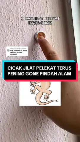 Replying to @CIK MANIS Masalah cicak banyak dekat rumah tu. Lepas ni kalau nak basmi cicak tu, pakai jer pelekat ni tau, cicak jilat je terus pening, gone bye2 terus pindah alam. #racuncicak #basmicicak #cicak