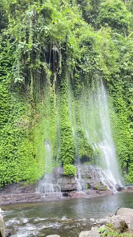 Indah sekalee🫶🏻🫶🏻 #fypシ゚ #viral #fyp #foryou #masukberandafyp #katakata #konten #fypoiiiiiiiiiiiiiiiiiii #curughujanbengkuluutara #wisatabengkulu #bengkulu 