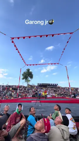 Aksi Garong jr di event 500 jt lapak mantul garudayaksa temanggung #merpati #merpatilovers #merpatiku #merpatikolong #merpatikolongbebas #merpatikolongindonesia #lapakmantulgarudayaksa #merpatikolongwonosobo #p3mkbi #fyp #fypシ゚viral #fypシ゚ #fypage 