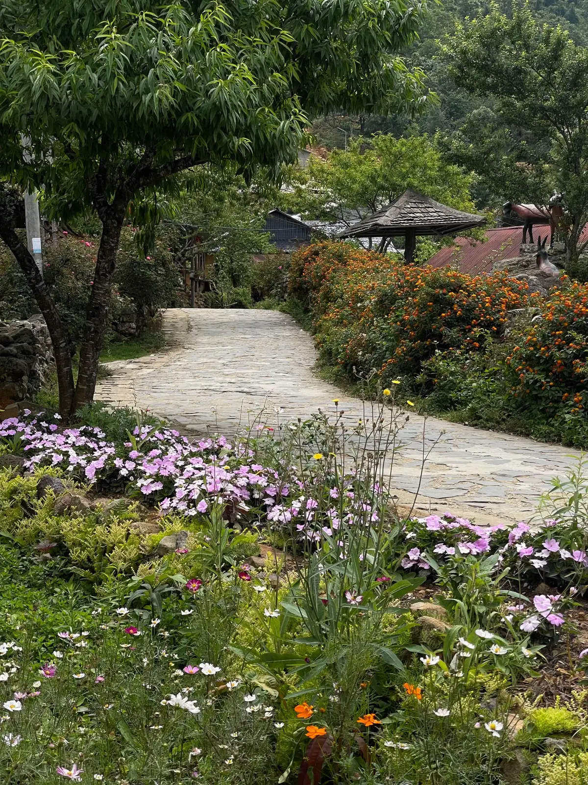 Vùng đất cứ giơ điện thoại lên là có ảnh đẹp #fyp #chill #sithauchai #laichau #dulich 