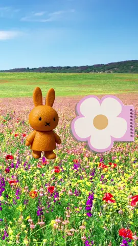 HACHUUUUUUUUUUUUUUUUUUUUUUUUUUUUkoop schoolspullenUUUUUUUUUUUUUUUUUUUUUU #hema #skibidischool