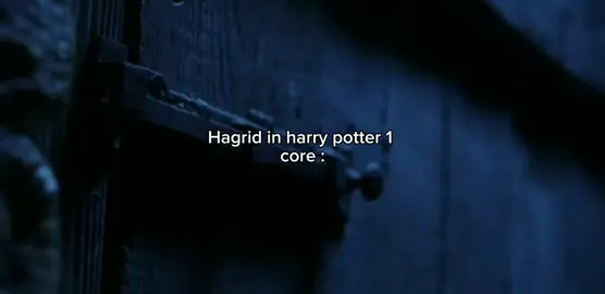 #hagrid #harrypotter #pourtoi #viralvideo #foryoupage #dontflop #core 