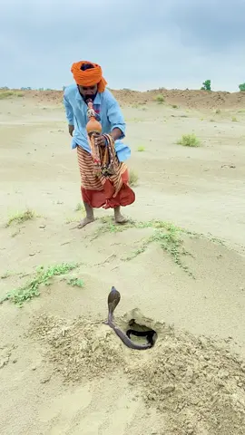 part 1 #wildliferescue #snakes #naagjogi🐍 #trendingvideo #foryou 
