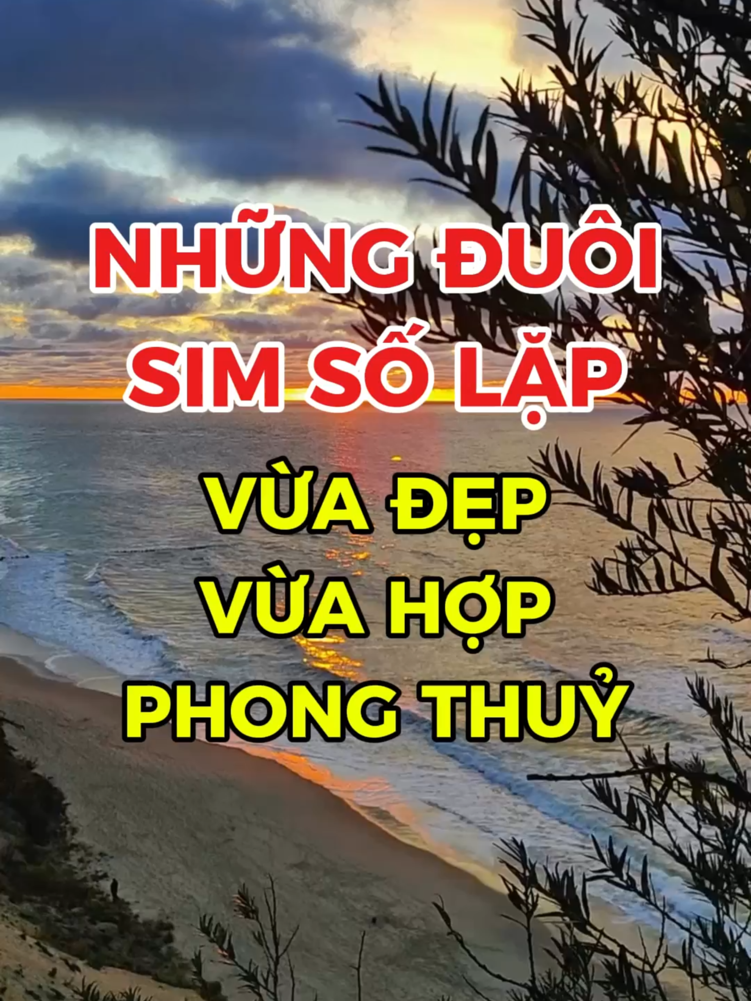 Những đuôi sim số lặp vừa đẹp vừa hợp phong thuỷ #simsodep #simphongthuy #khaimovanmenh #phongthuy #simsct #simsolap