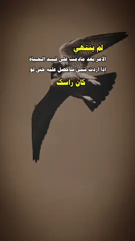 #عبارات_جميلة_وقويه😉🖤 #الصقر🦅  #عباراتكم_الفخمه📿📌 #اكسبلورexplore 