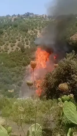 #pompiers #الحماية_المدنية_الجزائرية #lakabylie #kabyle #makabyliebrule #tiziouzou #tizi #تيزيوزو_تستغيث #maatkas #tiziouzou15 #kabyle_dz 