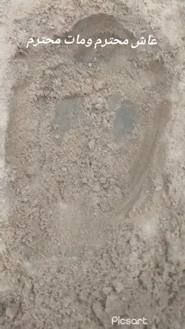 #عاش محترم ومات محترم #creatorsearchinsights 