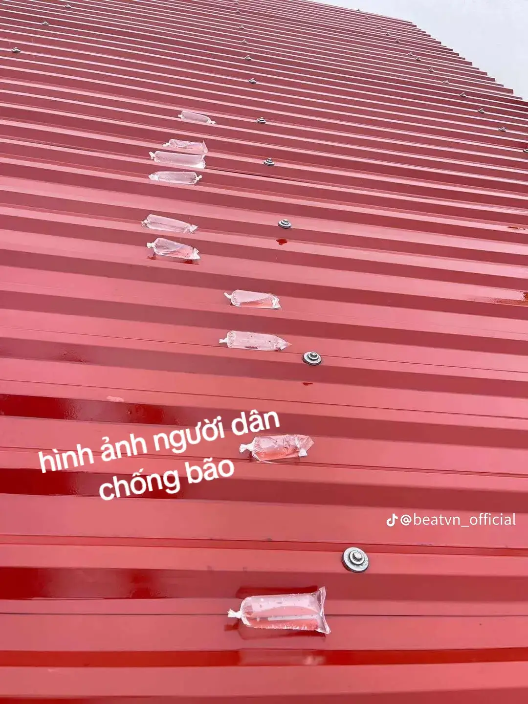 tổng hợp các hình ảnh người dân chống bão 😂😂😂