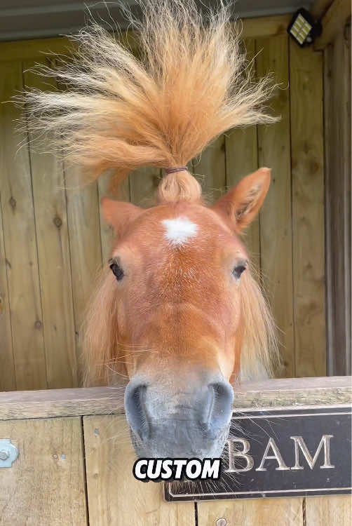 “Do horses need their manes trimmed?”#fyp #foryou #animals #cute #tiktok #viral 