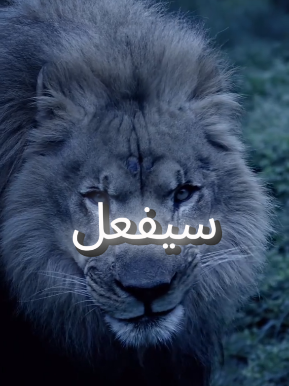 #اقتباسات_عبارات_خواطر #المواقف #عبارات 