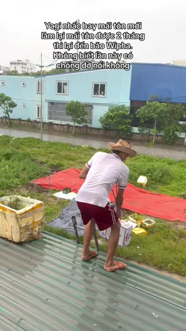 Yagi nhấc bay mái tôn mới làm lại mái tôn được 2 tháng thì lại đến bão Wipha. Không biết lần này có chống đỡ nổi không  #xuhuongtiktok #bãolụt #nhahangtrongtinh #flamingohaitien 