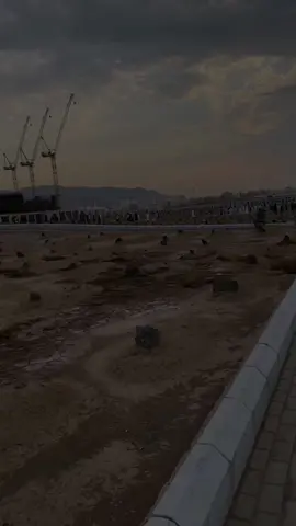 #سورة_ابراهيم #foryourepage #foryoupage #foryou 