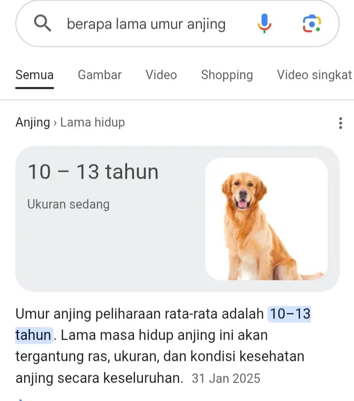 @ᴏᴛᴀᴋᴜ ɢᴀʀɪꜱ ᴋᴇʀᴀꜱ tidak sesuai ekspektasi#fypシ #xyzbca #fyppppppppppppppppppppppp #4u #trending #anjingpemburujandaliar#bismillahfyp 