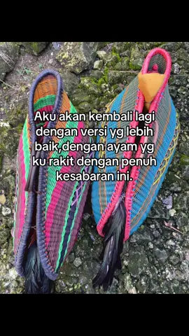 😉#fyp #fypkeras #ayambangkoksuper #pbj 