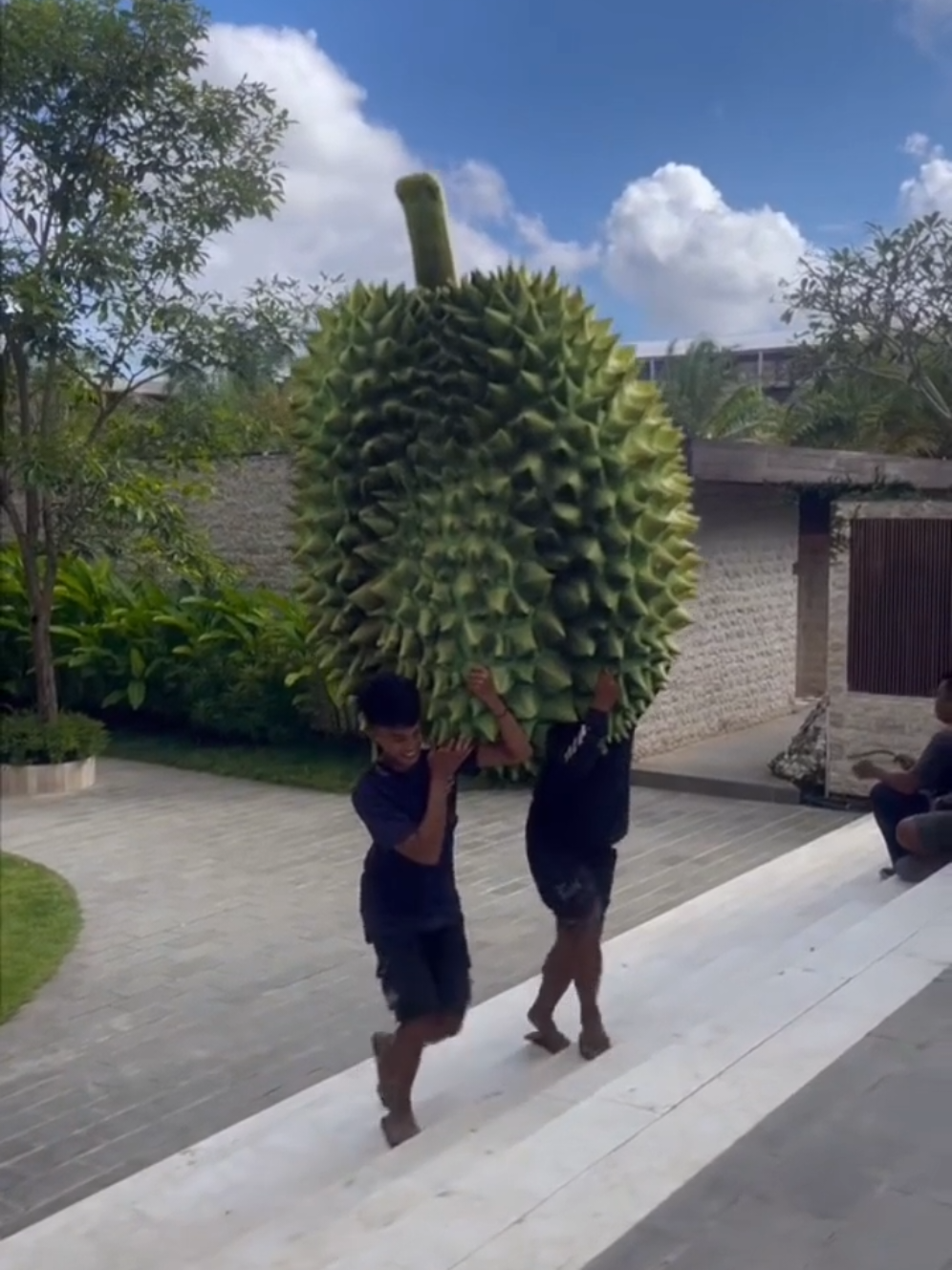 durian jumbo #durianterbesardidunia #durian 