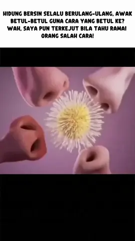 【Promo Baru Segera】Semburan Hidung, Penggunaan Harian, Formula Lembut