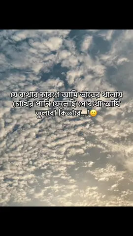 আপনি আমার সাতে যা কিছু কোরছেন আপনার ভালো থাকার যওনো কোরছেন কিনতু এইটা একটা বারের যনো ও চিনতা করেন নাই আমার কি হবে যা কোরছেন ভালো কোরছেন ওনোকে ঠোকিয়ে যদি ভাবেন ভালো থাকতে পারবেন তাহলে সব সুক আপনার হোক😊💔#allah #alha#alhamdulillahforeverything #alhamdulillahforeverything 