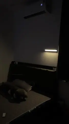 Đèn bàn tích điện 3 chế độ màu,có remote chỉnh từ xa,hẹn giờ tắt lắp đặt dẽ dàng.. #denbanhoc #denhoctichdien #denhoc #vuadenled #denhocchongcan #vuongstore98 