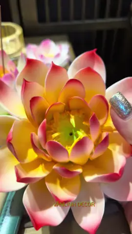 Sen gốm cắm nhan cúng dường tam bảo 🪷🪷🪷#thophat #phatphapnhiemmau #tutap #cungduong #hoasen #vanlinhdecor 