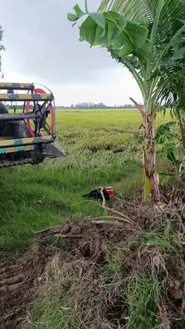 mưa gió bay nóc nhà ngã cây quá trời rồi ae ơi. sương sương ngày 2.3 đám mưa @꧂tuấn🔛kiệt ꧂ @Sơn Con @Quốc thái 🇻🇳 