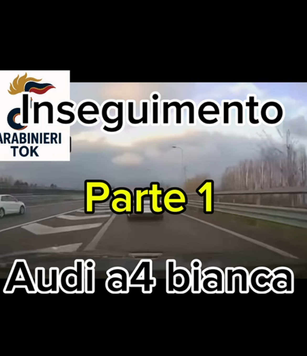 Audi a4 bianca 🚓💨 #fpy #for #yourpage #carabinieri #inseguimento #audi #a4 #bianca #milano 