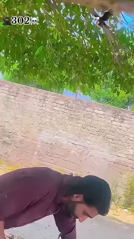 For you for you page wire video for you trick🤲#roblox #humor 🦅@Yawaz Khan @Tahir Khan 