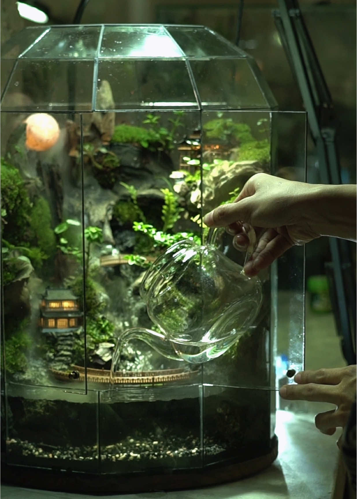 Vùng Đất bị lãng quên  Bể Terrarium tái hiện một vùng đất nơi những căn nhà hoà vào thiên nhiên, mây và sương hoà vào dòng suối nước  Ở nơi ấy, thời gian không trôi vội. Giữa ranh giới của thực và mơ, của ánh sáng và bóng tối, có một thế giới nhỏ… đang lặng thinh chờ được ai đó nhìn thấy. #mecaymela  #terrarium  #trồngcây  #thiennhien  #totoro  #landscape  #fypシ 