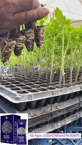 #visibilité #viraltiktok #biologique #bio #agriculture 