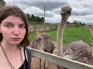 #рек #мем #рекомендации 