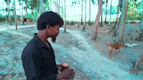 #foryou #viralvideo #tiktok #historia #সবাই_একটু_সাপোর্ট_করবেন_প্লিজ 