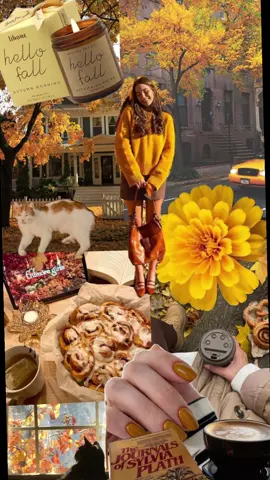 Goldenrod Autumn 💛 #fall #cozyfall #autumn #cozyseason #gilmoregirls 