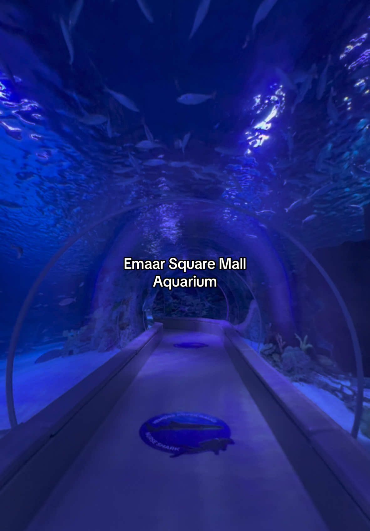 Aquarium in Emaar Square Mall, Istanbul 🇹🇷 #travelvlog #travelwithme #istanbul #parati #travelbucketlist #travelgirl #turquia #aquarium 